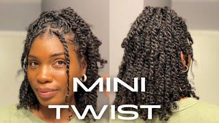 The Best Protective Style For Natural Hair (MINI TWIST )