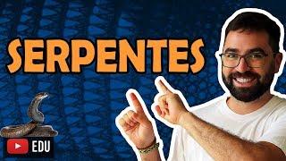 Serpentes - Aula 31 - Módulo VI: Zoologia | Prof. Gui