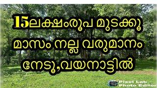 15ലക്ഷം രൂപ മുടക്കൂ മാസം നല്ല വരുമാനം നേടൂ #low price fam fore sale in wayanad