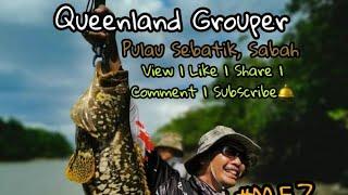 Trip Pulau Sebatik Episod 2 #02. Queensland Grouper Landed!