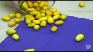 Kumquats: Frieda's Specialty Produce 101