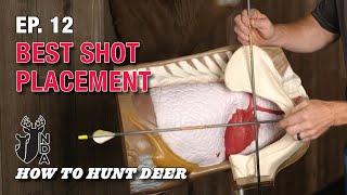 Best Shot Placement for Deer. How to Hunt Deer Ep. 12