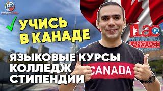 Образование в Канаде: учеба в колледже, языковая школа, цены, иммиграция
