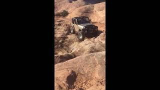 Poisonous Spider Moab UT