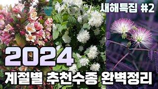 (댓글이벤트) 새해특집 2탄! 2024 계절별 추천 수종들을 소개합니다.