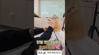 단발 태슬컷 요기 조심하세요#단발머리 #태슬컷#사모님머리#파마#컷트#사모님파마 #드라이#보브컷#보브단발 #스타일링#뷰티#여자머리#여자머리추천#헤어스타일#헤어#cut#shorts