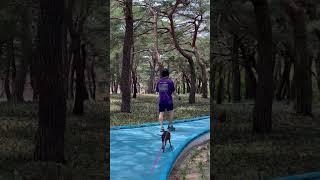피톤치드 가득한 조산해변 산책길