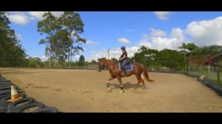 PRISTINE HORSE PROPERTY WITH TWO HOMES (SOLD)