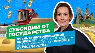 Будни Фермера. Как получить помощь от государства на ферму?