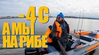 -4 а мы на РИБЕ! Haibo iPenguin , сумки от IVLERBOAT и ПНД риб для рыбалки! Рыбалка в ноябре!