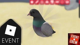 [EVENT] HOW TO GET THE PIGEON SHOULDER PET INSIDE OF THE VANS BMX EVENT ROBLOX