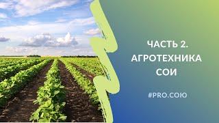 Часть 2. Агротехника сои | Пять вечеров PRO.СОЮ