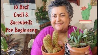 10 Best Succulents & Cacti for Beginners