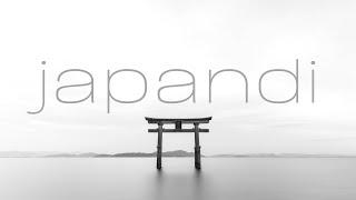 JAPANDI Interior Design Style Explained