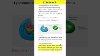 Lysosomes -Structure and Function