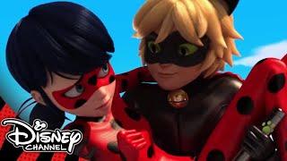 Miraculous Ladybug | Prince Kim  - Season 2 Sneak Peek | Official Disney Channel UK