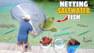 Netting Tons of FISH For My SALTWATER POND & ANGLER FISH Aquarium!