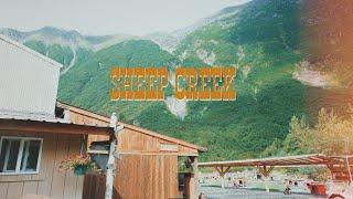 Sheep Creek Dog Camp, Juneau Alaska 2024