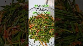 고지혈증 잡는 부추겉절이는 약성 좋은 이런 부추로 만드세요! #부추겉절이만드는법#부추겉절이#부추무침#부추겉절이황금레시피#부추김치담그는법#부추요리