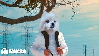 Marshmello - Alone (Video Oficial) - Cover Gabe the dog