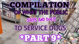 Compilation of What Srangers Say and Do to Service Dogs *PART 9*