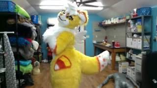 Corndog the candy corn kemono collie fursuit