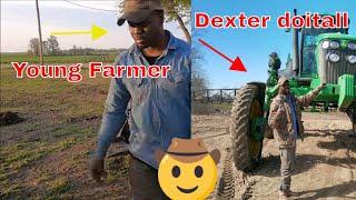 Dexter doitall Young Farmer Work