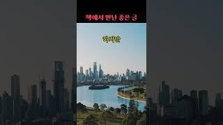 나만의 성공 철학 #성공철학 #성공 #책추천