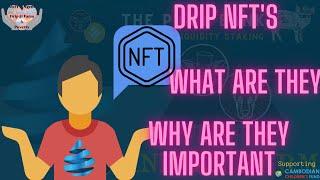 The Drip Network review of Drip community NFT projects