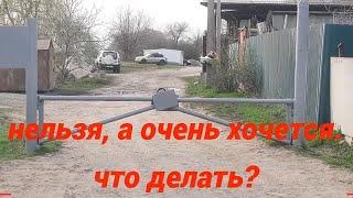 Когда нельзя, а очень хочется. Что делать? #рыбалкаНаДону #ДонскойКарась #обзор #фидернаяЛовля