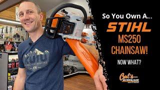 So You Own … the MS 250 Stihl Chainsaw