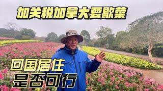 加关税加拿大要歇菜，回国居住是否可行？