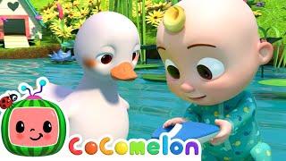 Five Little Ducks | CoComelon Furry Friends | Animals for Kids