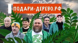 Светозар Скоробогатов основатель проект Подари-Дерево.рф