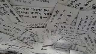 대전의 명물 소원택시, 행운택시