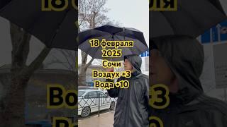За всю ЗИМУ такого ещё НЕ БЫЛО  #сочи #сочионлайн #сочисейчас #сочисегодня