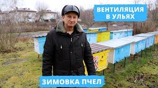 Как правильно организовать вентиляцию в ульях? | Зимовка пчел