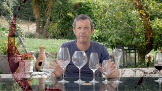 Learn with Brad. Selecting the Right Wine Glass