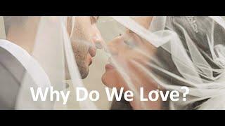 Why Do We Love? Persian Wedding Intro