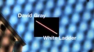 David Gray - Say Hello, Wave Goodbye (Official Audio)