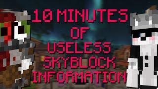 10 minutes of Useless Hypixel Skyblock Information