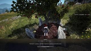 Black Desert что в кувшине