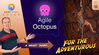 Agile Octopus - A Smart Tariff For The Adventurous!