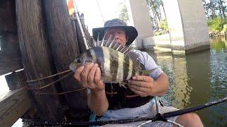 Kayak Fishing for Sheepshead with Bearded Brad Gulf Shores Alabama