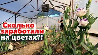 #226 Как вырастить цветы и заработать?!