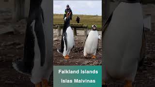 Falkland Islands - Islas Malvinas