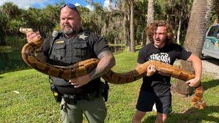 10FT Boa Constrictor! COPS CALLED!