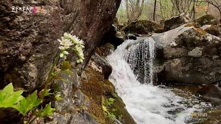 가평 화야산 큰골 Hwayasan Mountain cungol valley