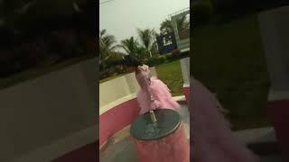 mein Chali Mein Chali song dance