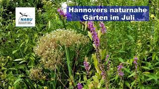 Naturnahe Gärten Hannover im Juli